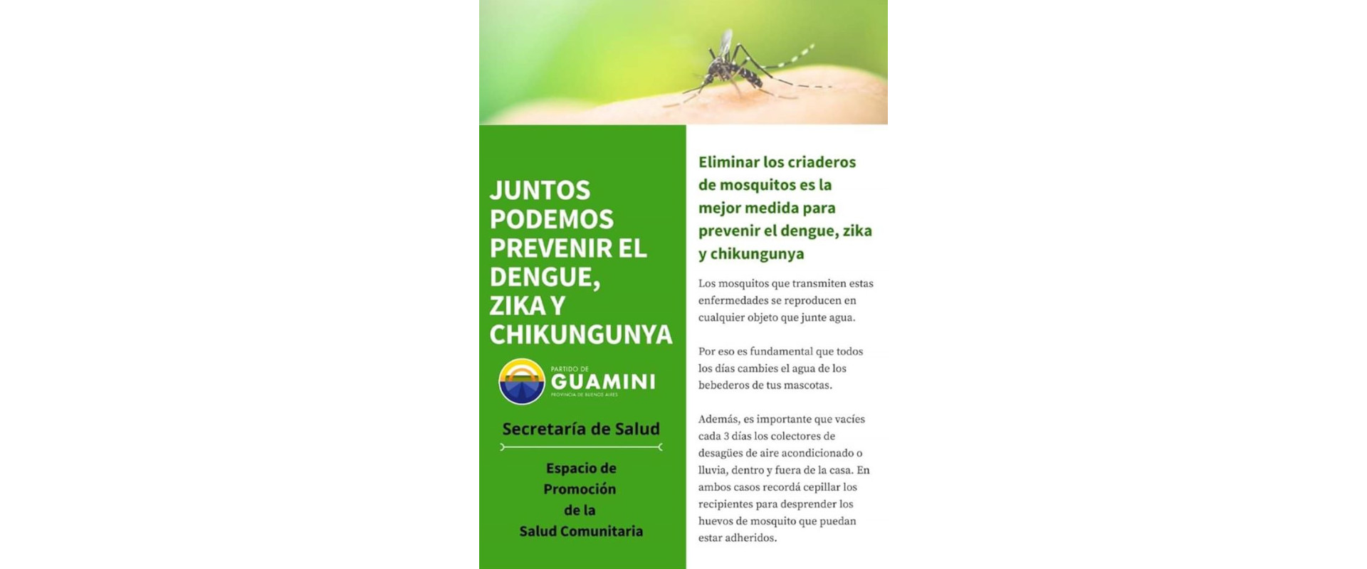 campaña de prevención contra los mosquitos