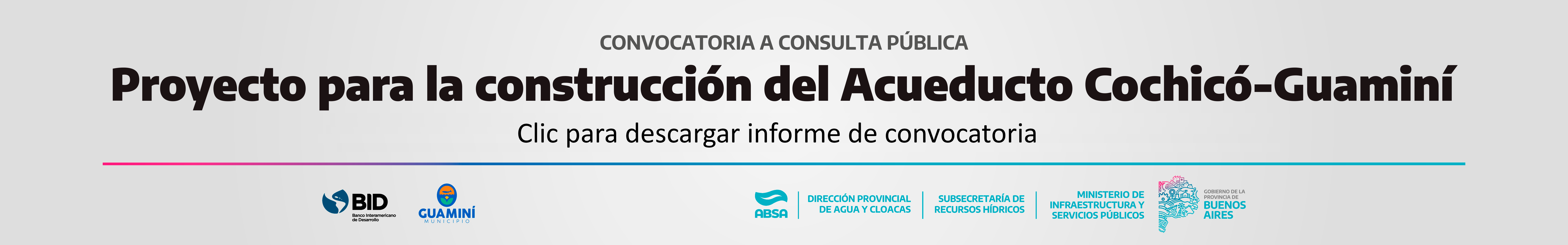 Convocatoria Pública Informe